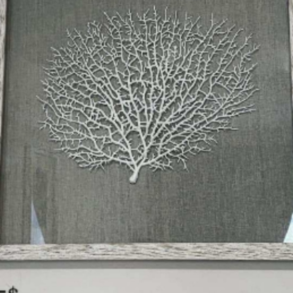 NEW Bodaway Coral in Shadowbox with wood f…